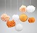 SUNBEAUTY Pack of 8 3 Colors Tissue Paper Flowers Tissue Paper Pom Poms, Wedding Decor, Pom Poms Flowers, Paper Lantern, Pom Poms Craft,Party Decoration (Orange-1)