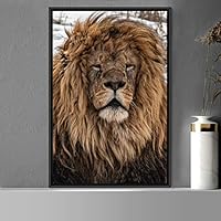 Framed Canvas Wall Art Lions Animals Chic Dramatic Lion Living Room Multicolor Photography - 16x24 inches