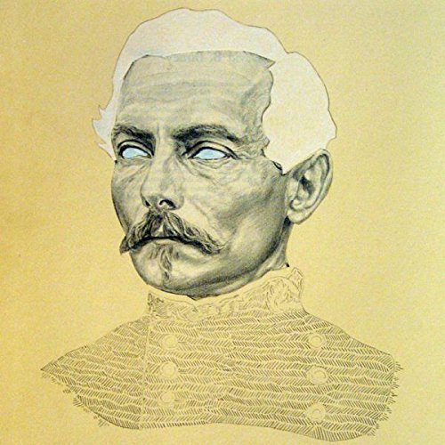 Rogue Wave - Delusions of Grand Fur - Zortam Music