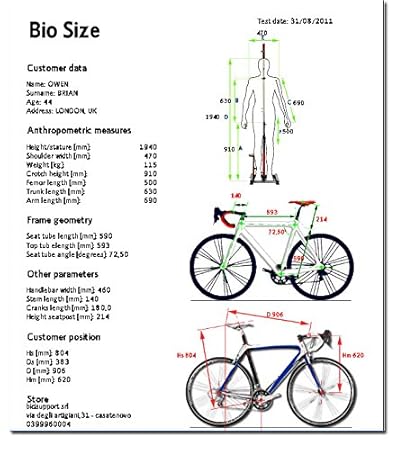 bicisupport bio size bicisupport bio size