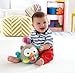 Fisher-Price 2-in-1 Activity Chime Ball