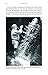 The Ninja Mind: Harnessing the Mental Strength and Physical Abilities of the Ninjutsu Masters
