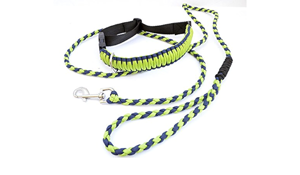 paracord collar and leash