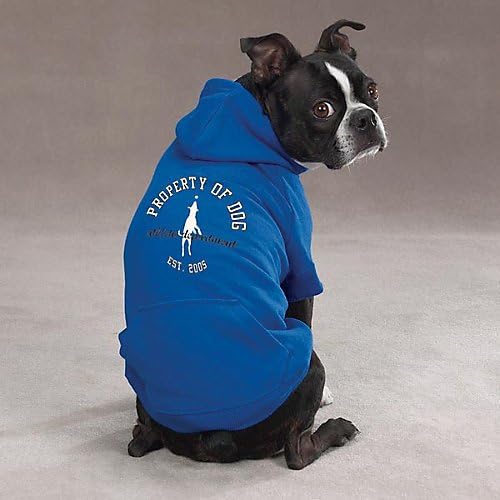 Dog Is Good Solid Hoodie, XLarge, Sky Diver Blue Pet