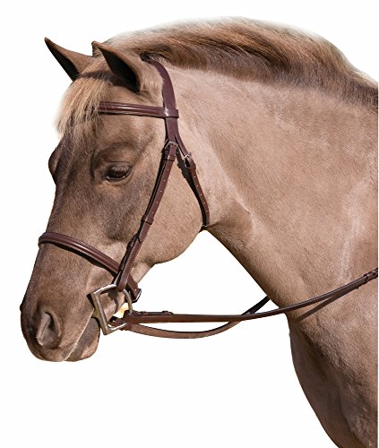HDR Club Fancy Raised Snaffle Bridle Cob Oakbark