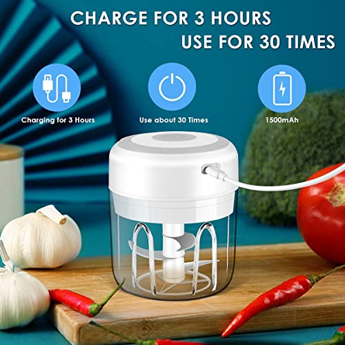 Electric Mini Garlic Chopper, Portable Food Processor, Vegetable