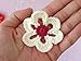 20pc Assorted Six Petals 2.17