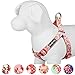 Blueberry Pet 9 Patterns Step-in Spring Scent Inspired Floral Rose Baby Pink Dog Harness, Chest Girth 16.5