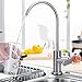HOMEIDEAS Single Handle Drinking Water Faucet, Cold Water Filter Faucet, Food Grade 304 Stainless Steel Beverage Faucet, Lead-Free Water Spigot Brushed Nickel Finished
