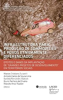 Livro Infraestrutura para produção de commodities e povos etnicamente diferenciados: efeitos e danos da implantação de "grandes projetos de desenvolvimento" ... de poder e estratégias de luta Livro 1)