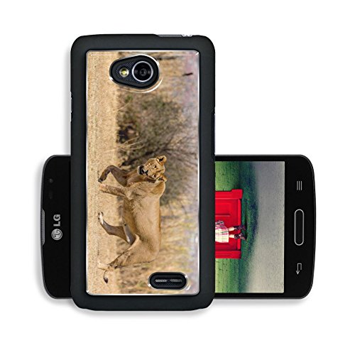 Liili Premium LG Optimus L70 Dual Aluminum Backplate Bumper Snap Case ID: 22635601 A lioness strolling around in the dry savannah lands of at a national park in South Africa