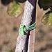 BongoTies® ALL GREEN Bongo Ties A5-01-G - 10 Pack ~ Professional cable ties made of natural rubber and bamboo ~ HANDY TIES FOR CABLES AND OTHER UNRULY ITEMS