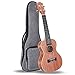 UKELE Soprano Ukelele 21 Inch Ukulele Professional Wooden Beginner Instrument Small Hawaiian Guitar with Gig Bag for Starter