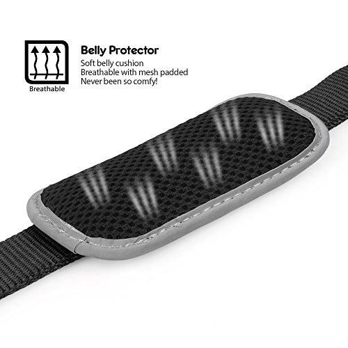 DOGNESS Classic Dog Halter Harness, Traffic Control Handle Belly Protector Metal Buckle, Reflective Soft Padded Nylon, for Small Medium Large Dogs, Matching Leash Collar Sold Separately, Black S/M - Thumbnail 3