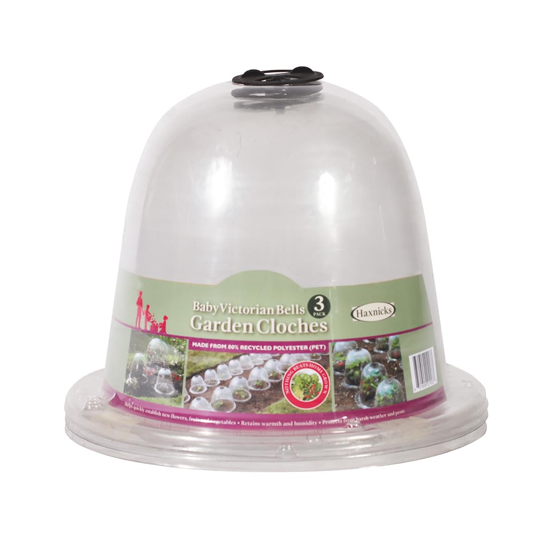 Haxnicks 3 x Small Baby Victorian Bell Garden Coche | Plant Protection | Growing Vegetable | Specimen Plants | Pack of 3 Transparent, 20 x 25 cm | BELL030101