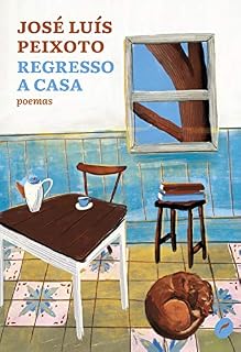 Livro Regresso a casa (Coleção Gira)