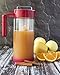 Glass Water Infusion Pitcher | BPA Free Fruit Infuser | Premium Borosilcate Glass for Hot and Cold Liquids | Infuse Iced Tea, Coffee, Water, Juice, Vodka, Tequila - Cestari Infuser, Red 44 ounces