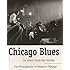 Chicago Blues as seen from the inside - The Photographs of Raeburn Flerlage