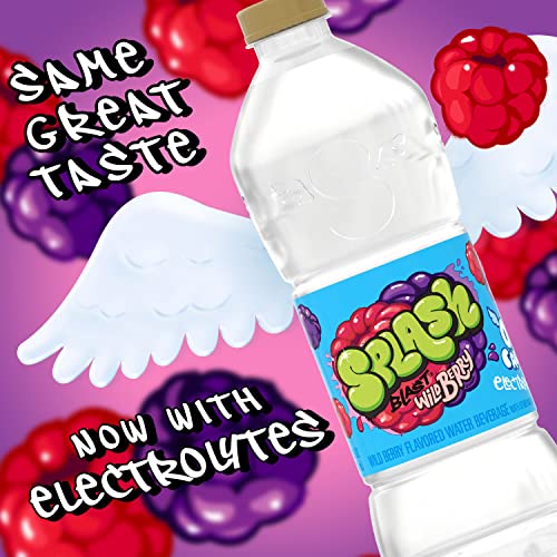 Splash Blast, Flavored Water Beverage, Wild Berry Flavor, 16.9 Fl Oz