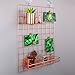 Simmer Stone Rose Gold Wall Grid Panel for Photo Hanging Display & Wall Decoration Organizer, Multi-Functional Wall Storage Display Grid, 5 Clips & 4 Nails Offered, Set of 1, 17.7