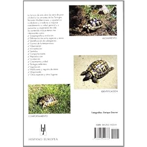 Tortugas terrestres mediterraneas / Mediterranean Tortoises (Manuales Del Terrario) (Spanish Edition)