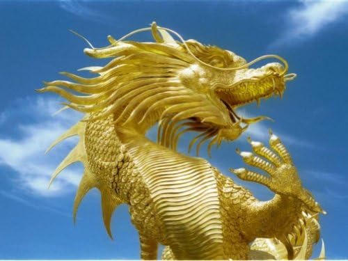 Dragon's Blood Candle Soap Home Fragrance Oil 1 oz