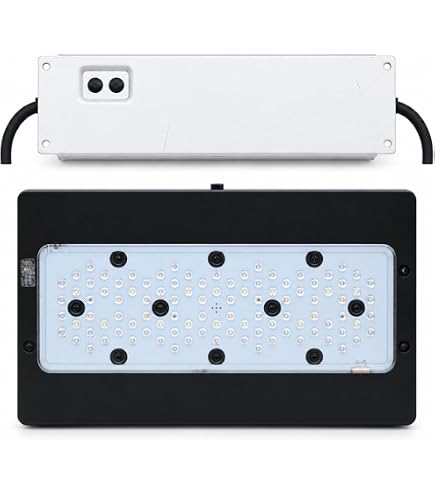 Amazon.com : A8SE II Max and Blue 240W Full Spectrum WiFi App