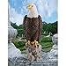 Design Toscano Majestic Mountain Eagle Garden Statue