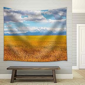 Fields - Fabric Wall Tapestry Home Decor - 51x60 inches