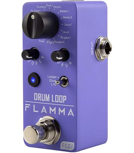 TC Electronic Guitar Ditto Looper Effects Pedal : Amazon.ca