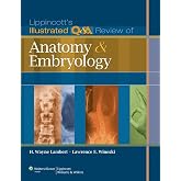 Lippincott's Illustrated Q&amp;A Review of Anatomy and Embryology (Lippincott Illustrated Reviews Series)