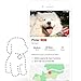 DOTT The Smart Dog Tag, Bluetooth Location Tracking, Lost and Found, App-Enabled Pet Collar Tag (Not a GPS Tracker)