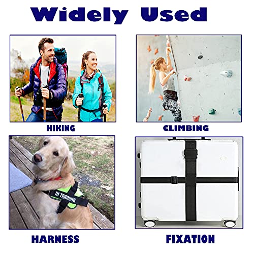 AXEN 4PCS Plastic Buckle, Dual Adjustable Side Quick Release Buckle for Bracelets Backpack Tactical Bag and Gear (1.25 inch)