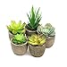 Artificial Succulents Plants,Fake Potted Cactus Faux Cacti Green for Home Indoor Decoration Set of 5