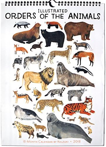 High Note 2018 Illustrated Orders of the Animals 18-Month Designer Wall Calendar: Unique, Beautifully Crafted, Featuring Unique, Original, Designer Art by Kelzuki (CHG0297)