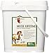 Vita Flex Accel Lifetime Health and Wellness Formula Horse Supplement