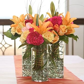 Amazon Com Taras Treasures And Gifts Glass Cylinder Vases 7 5 In