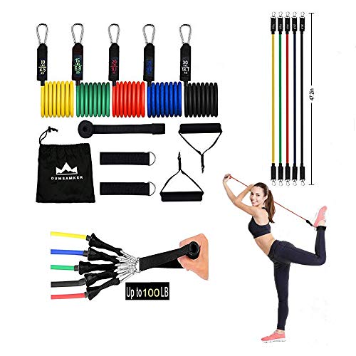 Resistance Bands Set -【2021 Upgraded】 DUMSAMKER Exercise Bands with Handles, Ankle Straps, Door Anchor and Guide Book - for Men Women Home Workouts and Resistance Training - 100% Life Time Guarantee