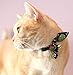 Necoichi Kimono Ribbon Cat Collar (Blue)