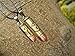 Gyand 2 PCS Faux Leather Adjustable Lover Couple Necklace With Bronze Bullets Charm Pendant Necklace For Him and Her ,Heart Lock and Key Couples Necklace for Men & Women