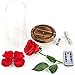 YSBER Artificial Flower Beauty & The Beast Colorful Rose and LED Light in Glass Dome on a Wooden Base for Lover, Mother, Girlfriend. (Warm White Light Rose Shade)