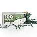 100 Green Miniature Christmas Lights Set - Mini Holiday String Lights