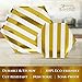 Silver Spoons Disposable Dinnerware Set | Stripe Collection, 18 Servings, White/Gold