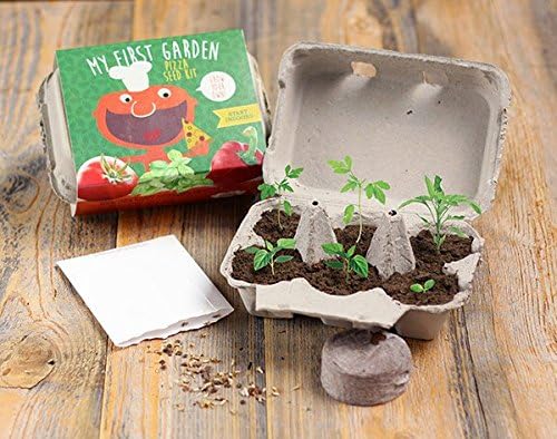 My first garden pizza seed kit