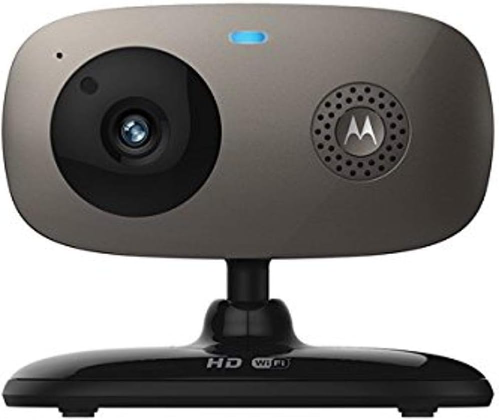 spaniel cavalier mix