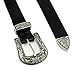 Harmony Life Women Vintage Boho Belt Double Buckle Retro Carved Waist Belt Metal Western Coachella Style (double buckles silver)