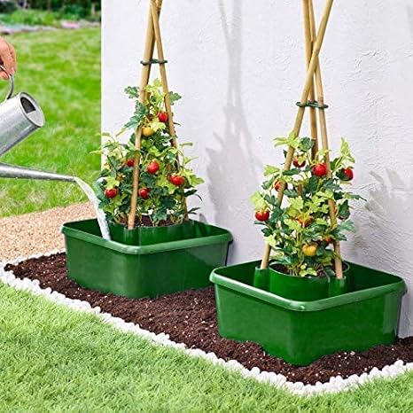 photo How To Plant Tomatoes In Pots Uk mygardengreen 3 pack tomato planters self watering garden halo pots bean growing tub