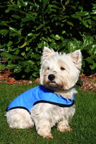 Prestige Cool Coat for Dogs, S, Blue