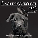 Image de The Black Dogs Project 2018: 16 Month Calendar Includes September 2017 Through December 2018