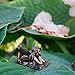 Top Collection 4386 Miniature Garden & Terrarium Fairy Reading Statue, Small, Bronze
